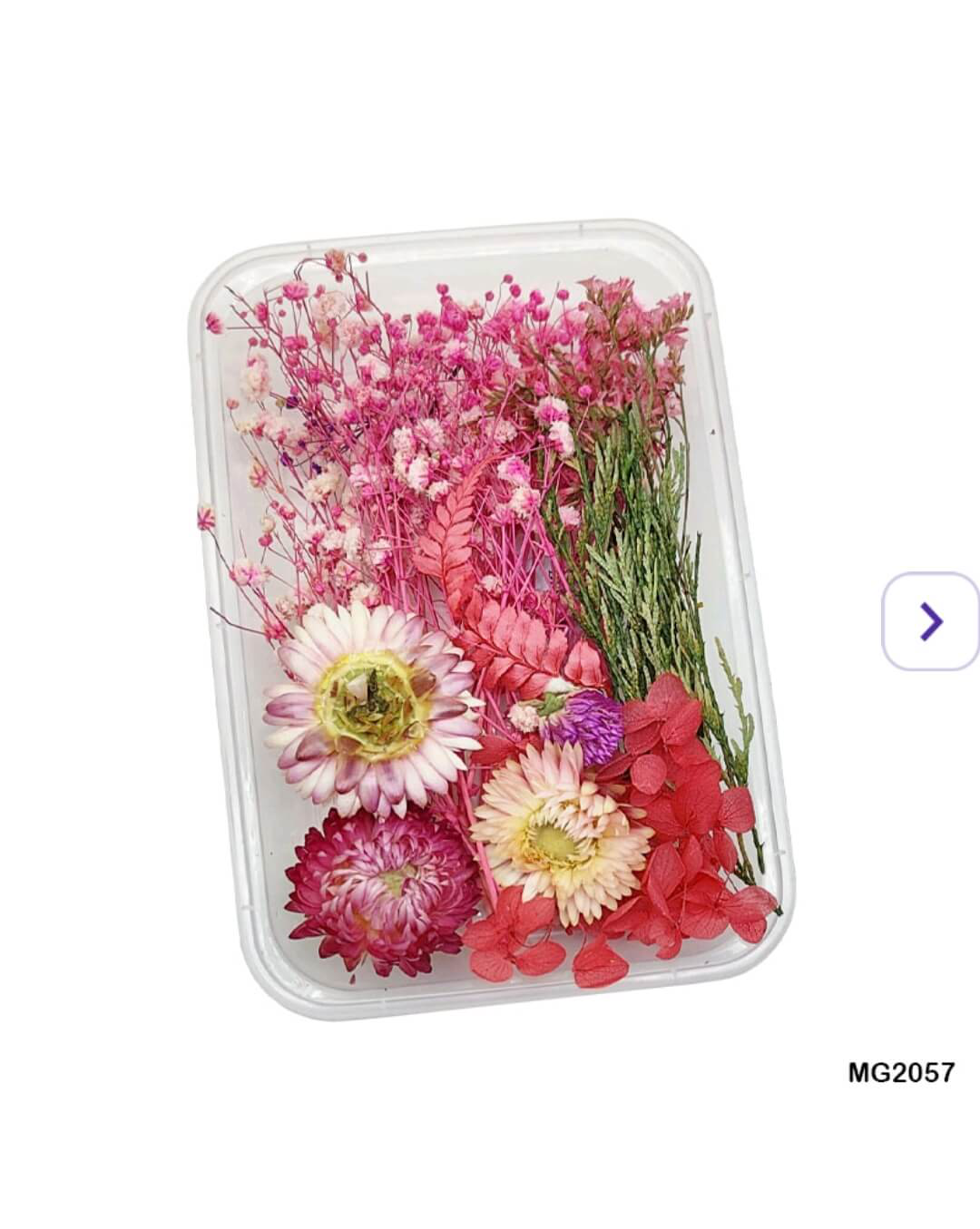 Top view of assorted pink, red, and green dried flowers in a clear box for DIY art and resin use.