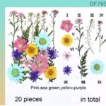 Colorful Forest Dry Flower Sheet with 20 natural pressed blue flowers and green ferns arranged for resin art, scrapbooking, and DIY crafts.