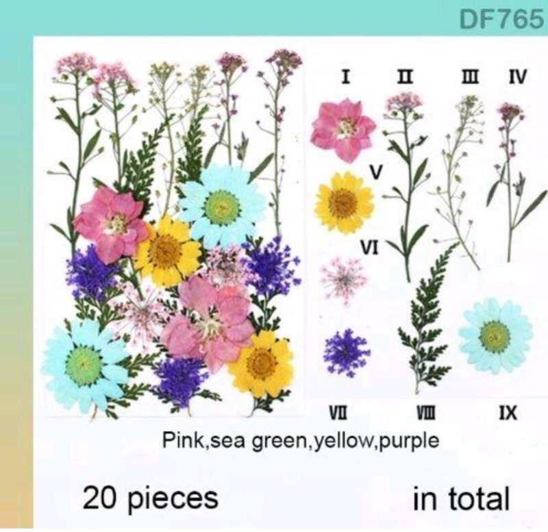Colorful Forest Dry Flower Sheet with 20 natural pressed blue flowers and green ferns arranged for resin art, scrapbooking, and DIY crafts.