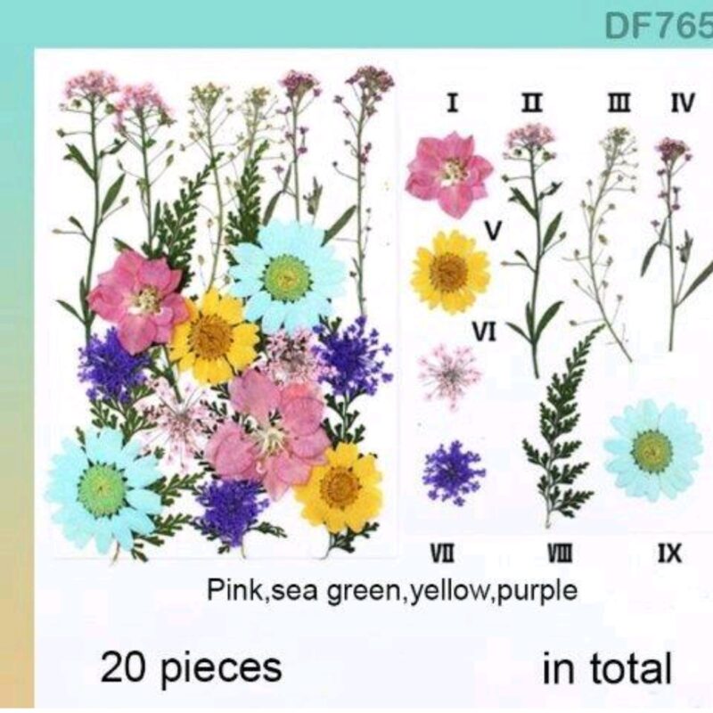 Colorful Forest Dry Flower Sheet with 20 natural pressed blue flowers and green ferns arranged for resin art, scrapbooking, and DIY crafts.