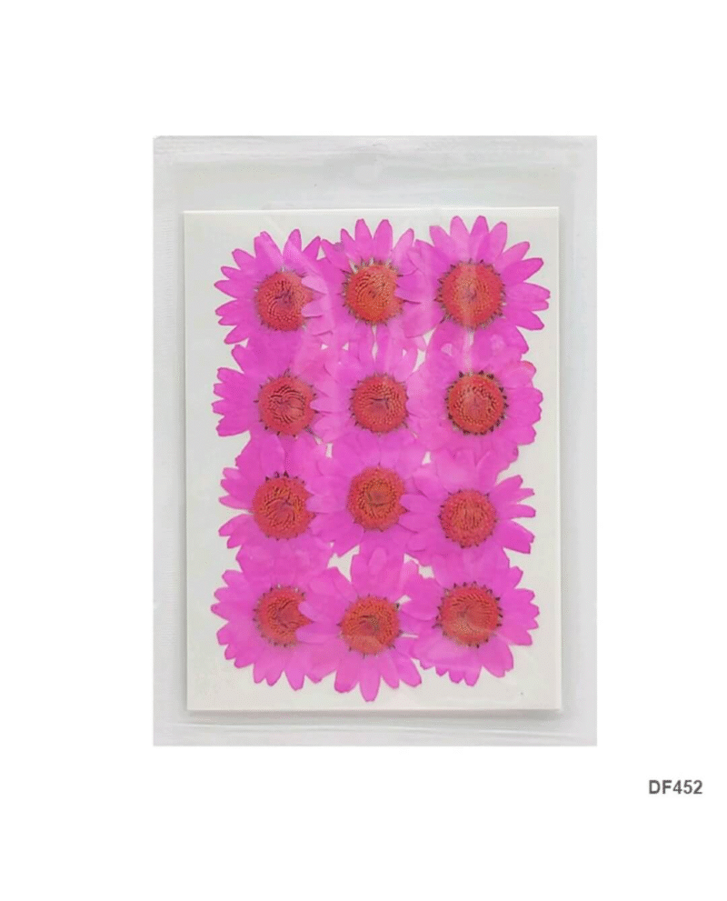 A sheet of 15 real pink dried daisy flowers arranged neatly, perfect for resin art, scrapbooking, and handmade decoration projects.