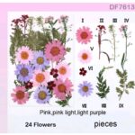 Pinkish Forest Dry Flower Sheet with 24 natural pressed blue flowers and green ferns arranged for resin art, scrapbooking, and DIY crafts.