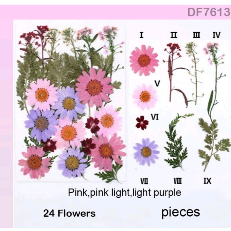 Pinkish Forest Dry Flower Sheet with 24 natural pressed blue flowers and green ferns arranged for resin art, scrapbooking, and DIY crafts.