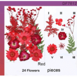 Red pressed flower sheet with assorted 24 dried floral pieces for crafts