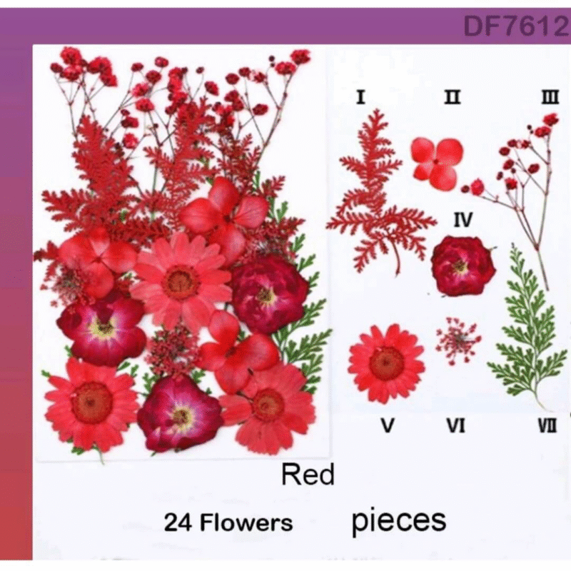 Red pressed flower sheet with assorted 24 dried floral pieces for crafts