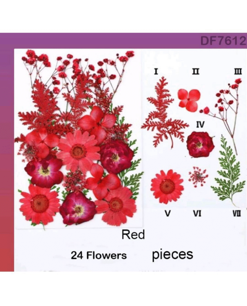 Red pressed flower sheet with assorted 24 dried floral pieces for crafts