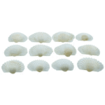 Pack of mini white ARTORIAL SHELLS, ideal for resin art, décor, and crafts.